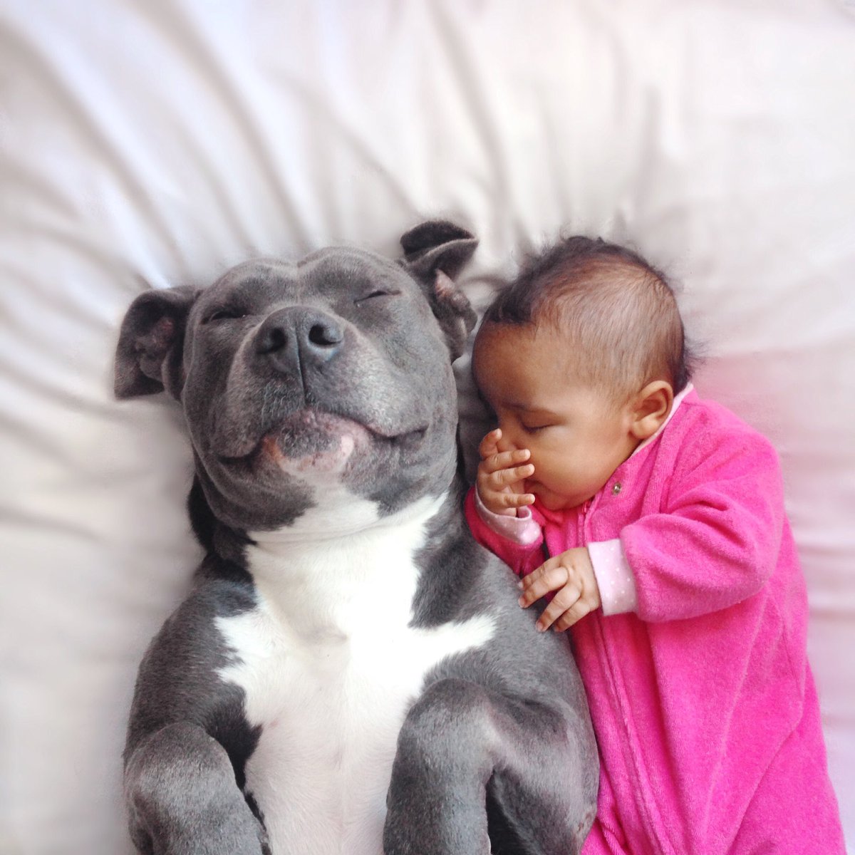 Just a #pitbull and her human #baby sister sleeping peacefully 💟