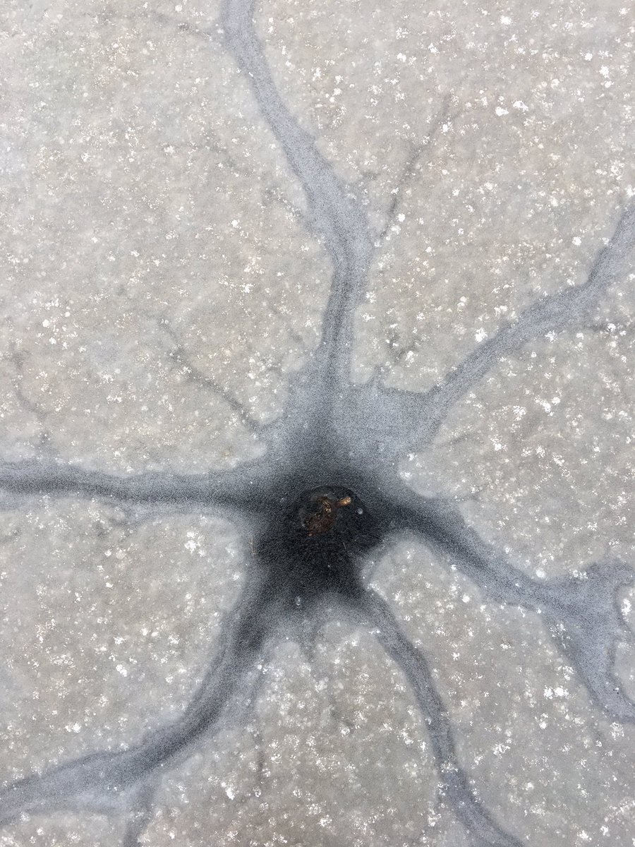 Microklimaat geeft wonderlijke patronen in het ijs ...