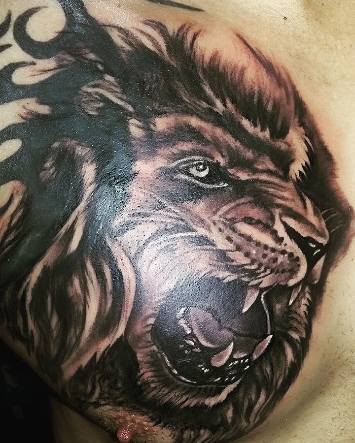 TattooMoya's tweet photo. #leon#sombras #moya.tattoo https://t.co/Vxi7G6tKNB