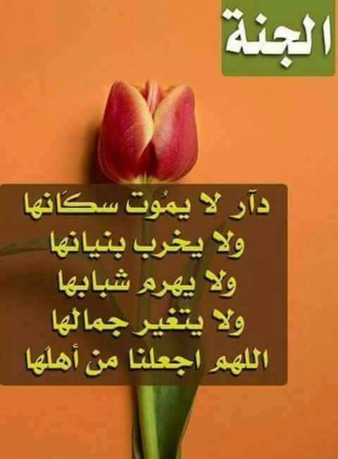 alathbe1's tweet photo. https://t.co/5g7j8QLECc