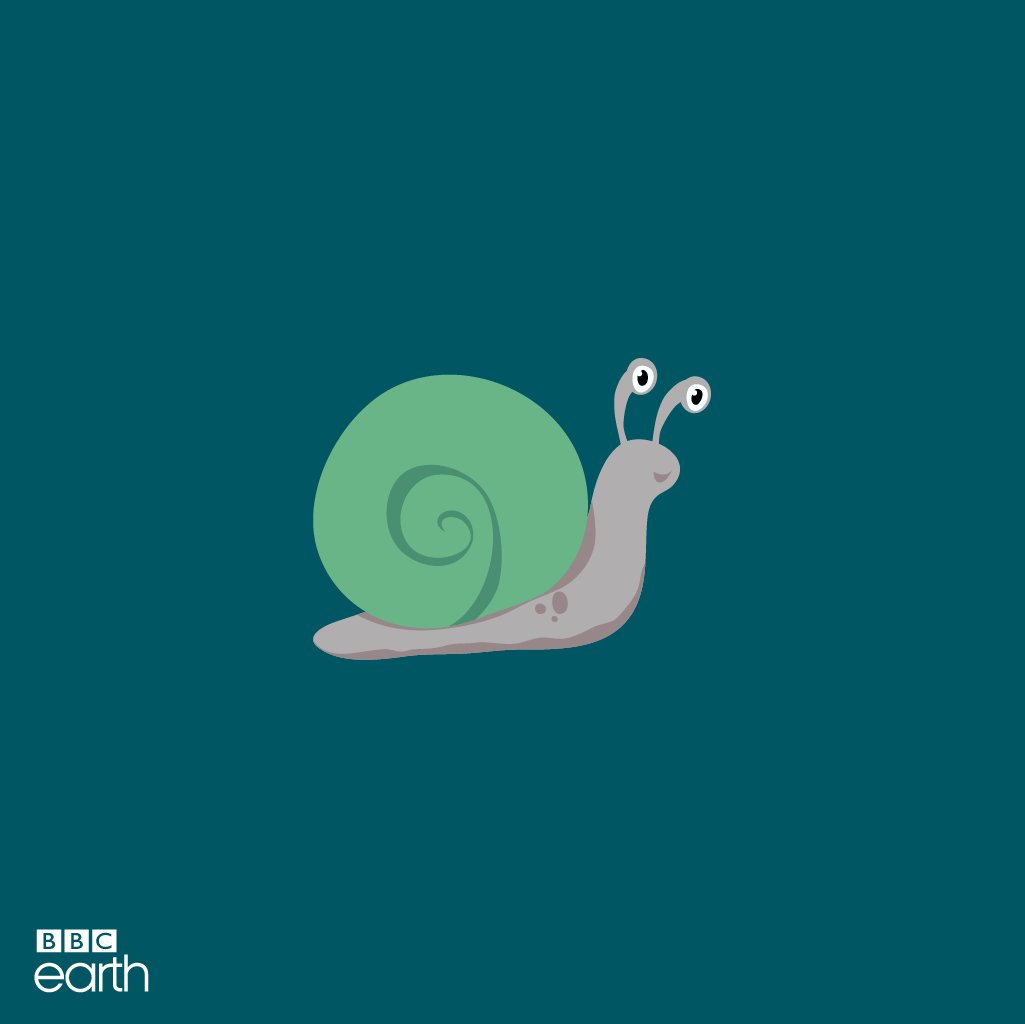 ¿Sabías que el animal con más dientes del mundo es un caracol? #EarthFacts