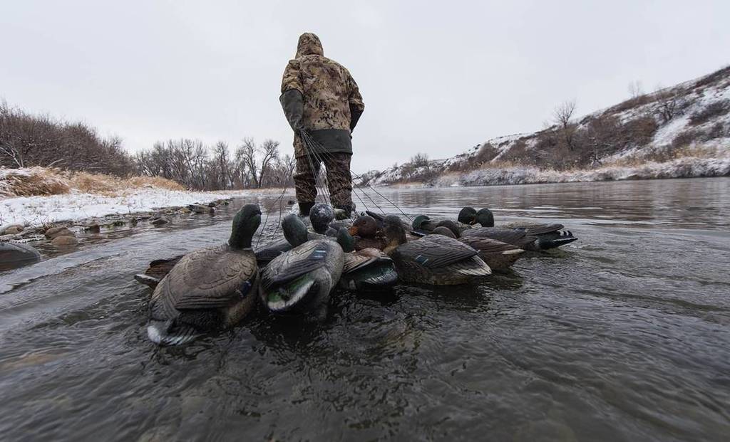 GORETEXhuntfish's tweet photo. There’s work to be done.
Photo: #HuntingTech @Shane_Rickert
#HuntDifferent | #ExperienceMore | #WaterfowlHunting https://t.co/ZqN5kkACtw