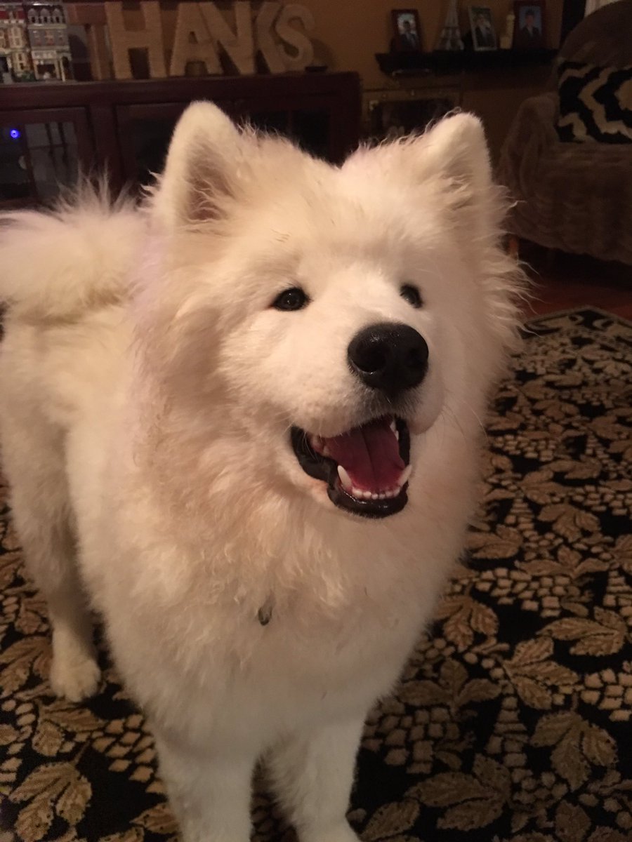 Claudia Loomis tweet media