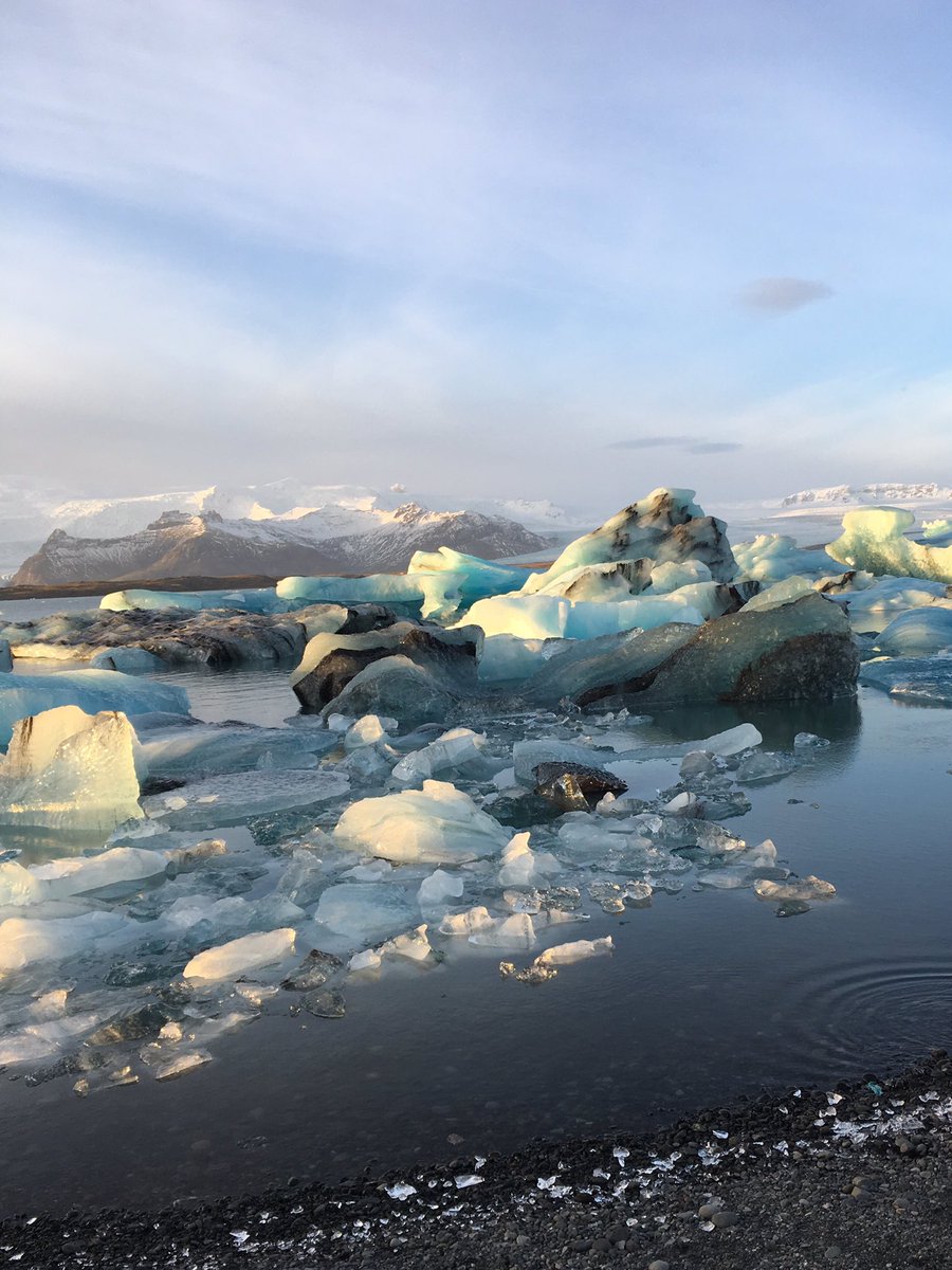 Claudia Loomis tweet media