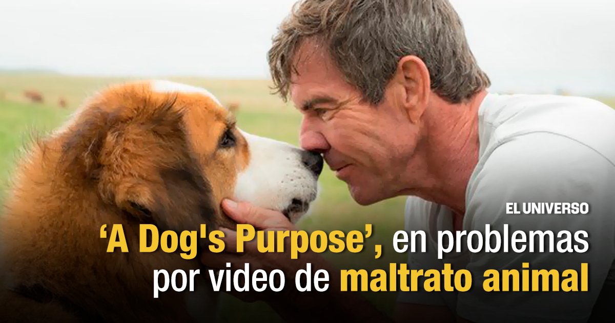 se filmer a dog s purpose por este video peta pide boicot a filme a dog s purpose se filmer a dog s purpose por este video peta pide boicot a filme a dog s purpose