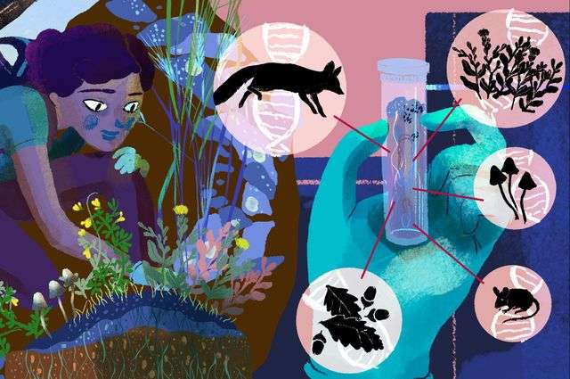 POSTLandTrust's tweet photo. Want to become a #citizenscientist? Here's your chance - Feb 8th at POST-protected #PillarPoint: https://t.co/ZTyjw30Ngm #CALeDNA https://t.co/ihdN5vLX5o