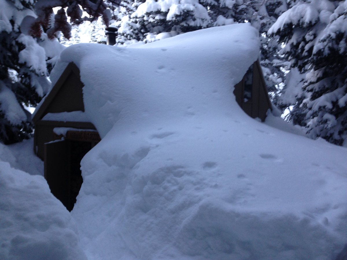 beardbeanie's tweet photo. Holy snow! Finally found the warming hut. #massivewinter https://t.co/HgdV2zTAoz
