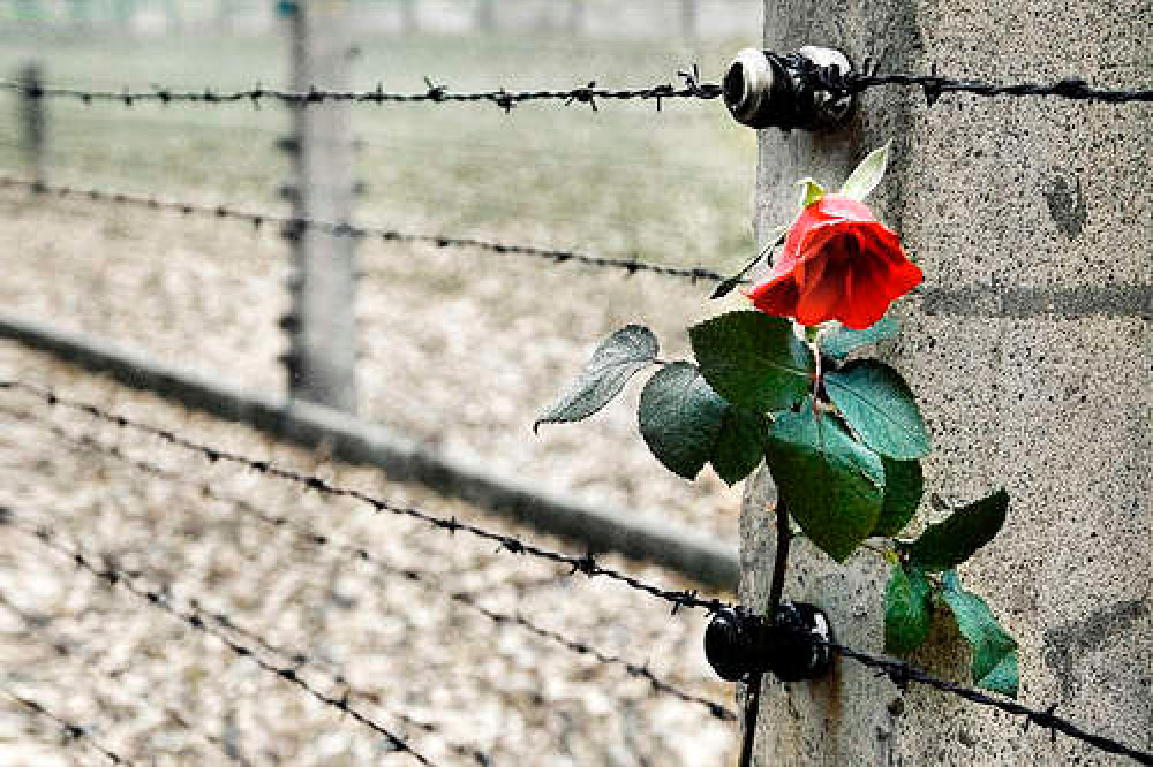 MorenoDuo's tweet photo. Non penso a tutta la miseria
ma alla bellezza che rimane ancora
✔️Anna Frank

#giornatadellamemoria 
#giornodelricordo 
#Shoah https://t.co/5DBJVQDo2g
