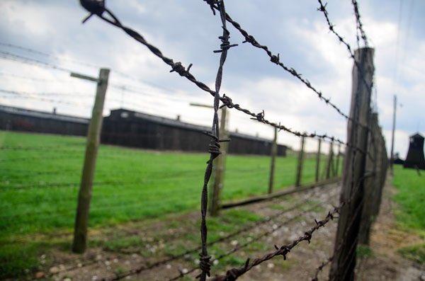 Radio3tweet's tweet photo. Considerate se questo è un uomo, che lavora nel fango, che non conosce pace, che lotta per mezzo pane. Primo Levi #giornatadellamemoria https://t.co/zeqyZKLIVk