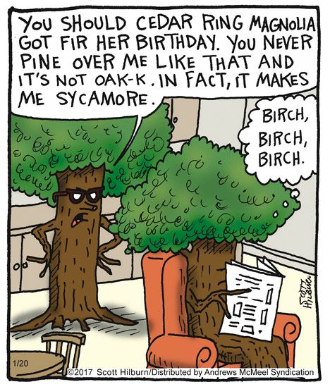 NWFA_WoodFloors's tweet photo. Who's in need of a good laugh? #TreeLovers https://t.co/09znb9qrLJ