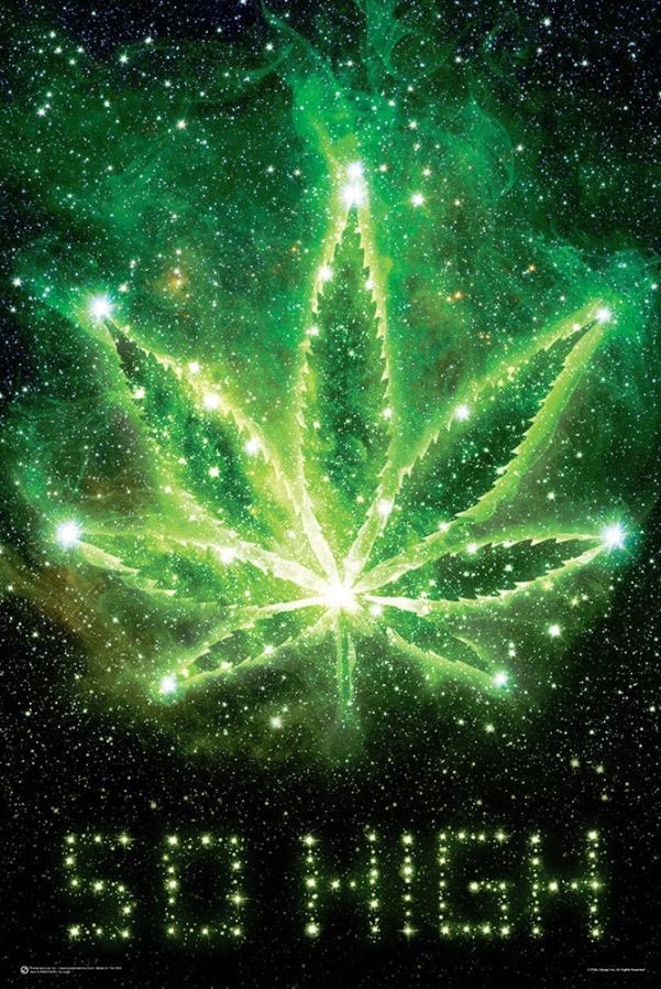 RE-legalization tweet media