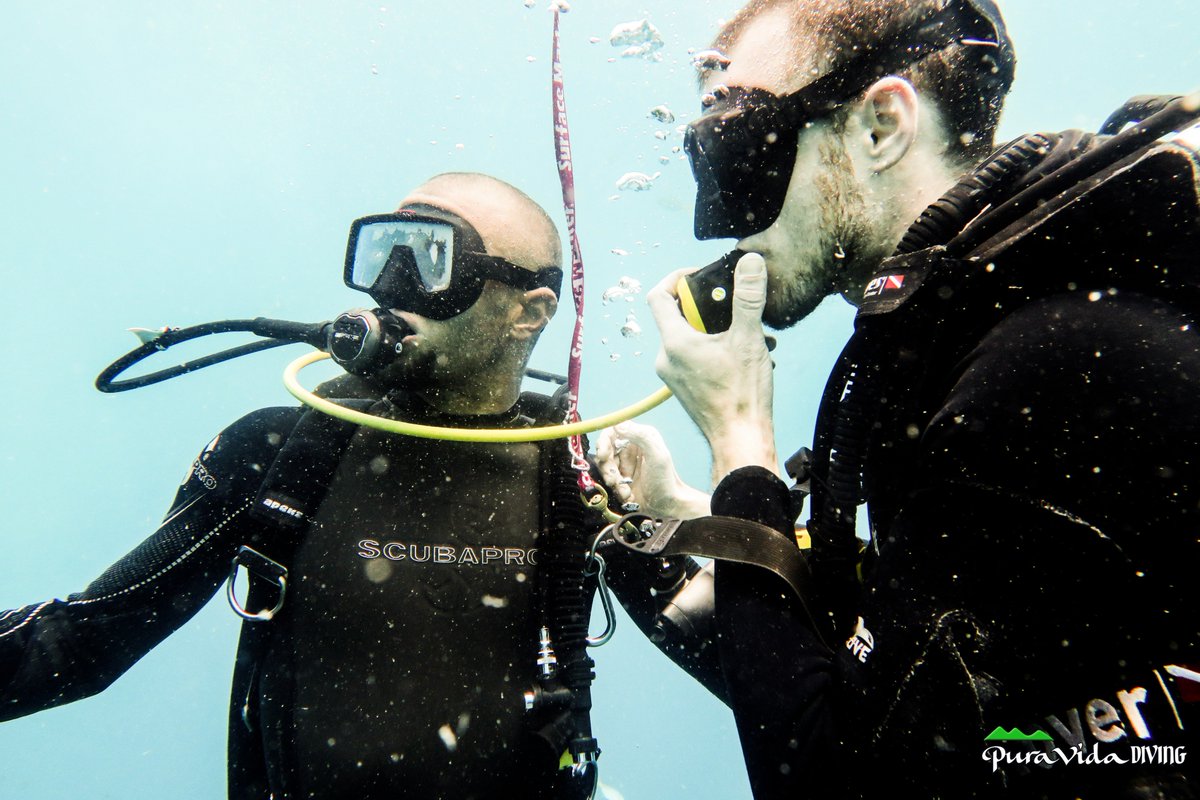 puravidadiving's tweet photo. Cursos de buceo en español en Koh Tao 😁👌 una nueva aventura 💪🐟🐠, muy buena onda, todo lo que estas buscando en tu viaje esta en PURA VIDA https://t.co/zOhnrHy12I