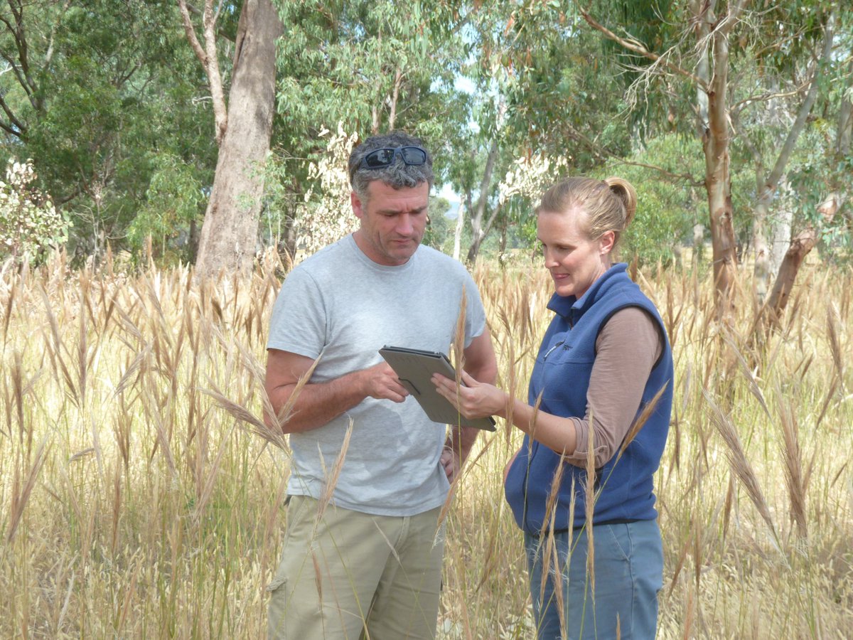 GBCMA's tweet photo. Now #revegetation info is at your fingertips with our popular guide now available online https://t.co/yoPG8xIfzB https://t.co/Dr2vtr0Okx