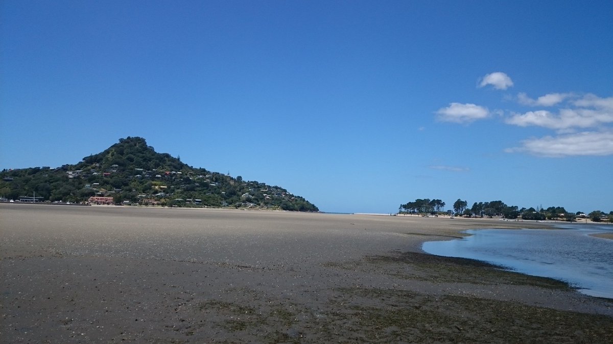 So pretty here in #NewZealand