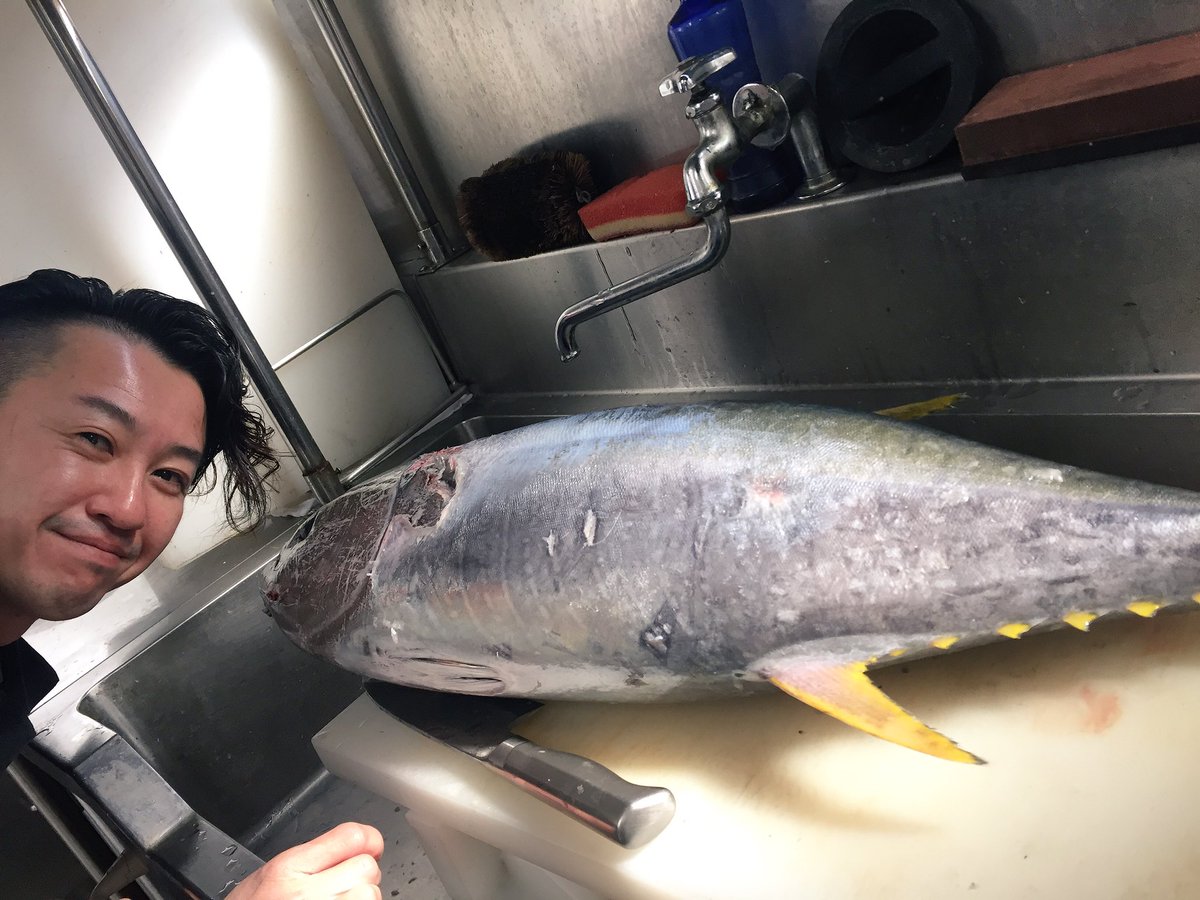 zero_cafe's tweet photo. 11kgのキハダマグロです🐟 https://t.co/3bF3791yTU