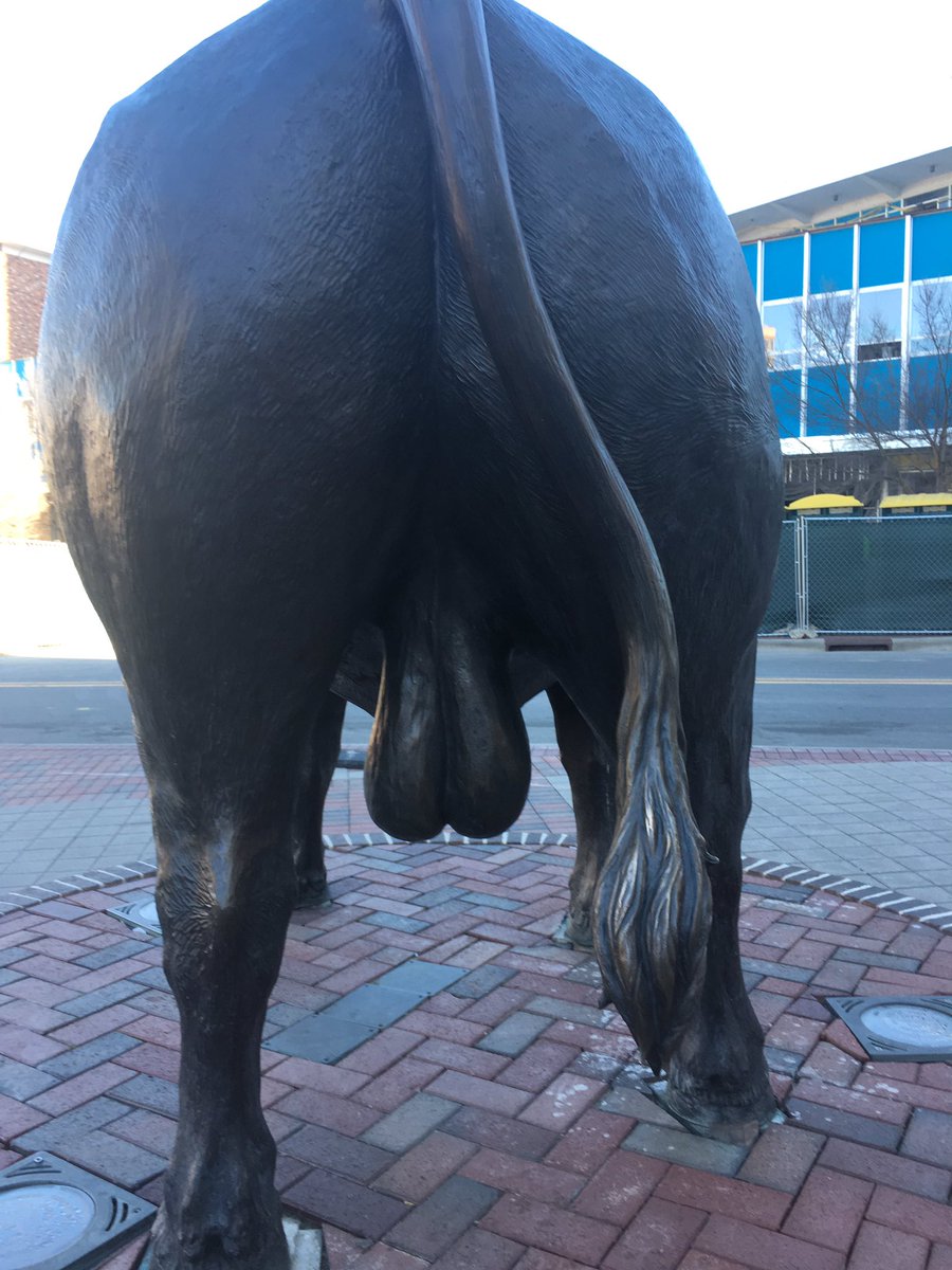 strugglebuss's tweet photo. It's not called the #thedirtyD for just some crazy reason https://t.co/95gN1ElDAX