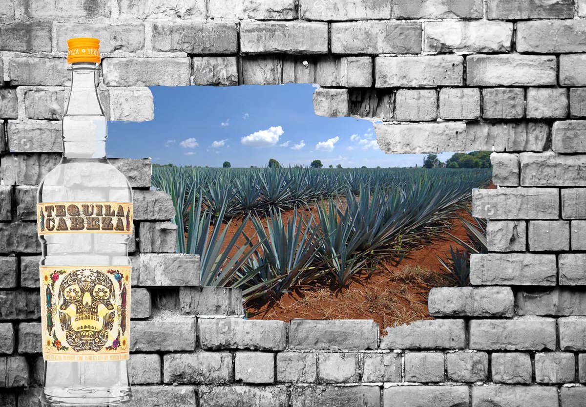 NO WALL. #savethemargarita