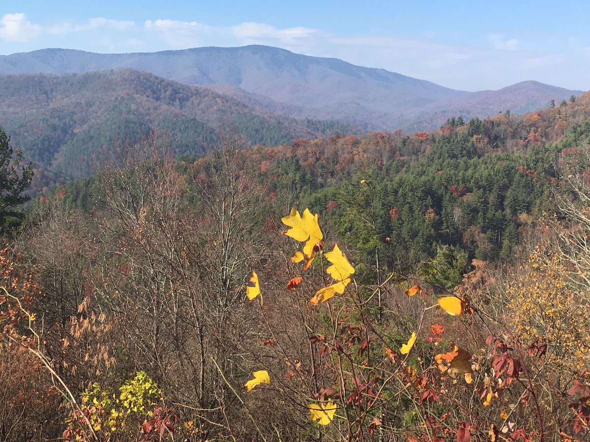 cindyloupy's tweet photo. The great Smokey Mountains are not always smokey...#travel #smokeymountains #nationalparks #smokeymountainnationalpark #applelacians # https://t.co/2saw0MwQjX