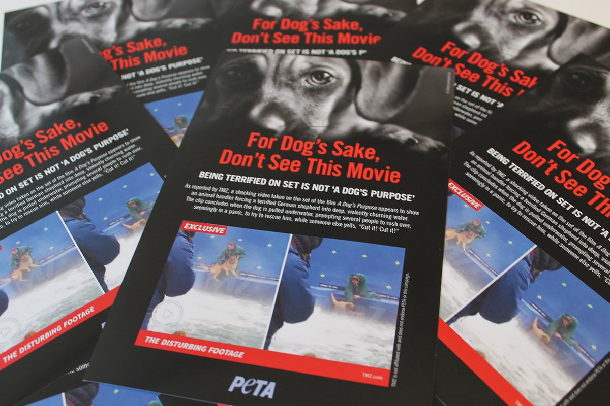 peta's tweet photo. TOMORROW: Join PETA in protesting at the release of #ADogsPurpose in your city! Details: https://t.co/ttGry4d8iX #BoycottADogsPurpose https://t.co/lopfJKBulM