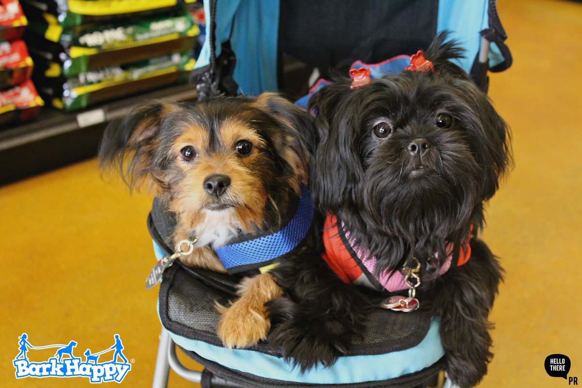 HelloTherePR's tweet image. Some cuties from our BarkHappy event last weekend! We loved managing and photographing this event! &amp;lt;3