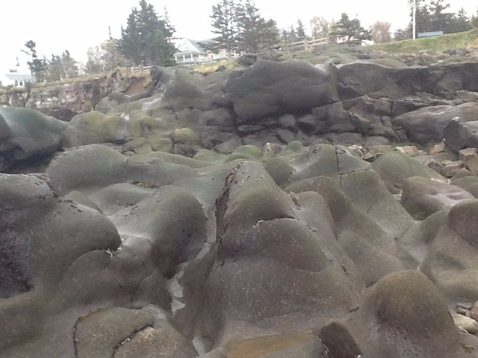 CuriousPaleo's tweet photo. #tbt Beautiful rock formations by the Bay of Fundy. Anyone else been to this spot? French Cross on the North Mountain, Nova Scotia, Canada https://t.co/dLom34xOy7