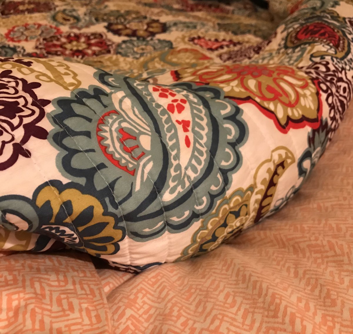 cheryl303's tweet photo. idk how she does it but Cookie burritos herself like this every night #pupperito #nightynight https://t.co/nBT6txrHUd