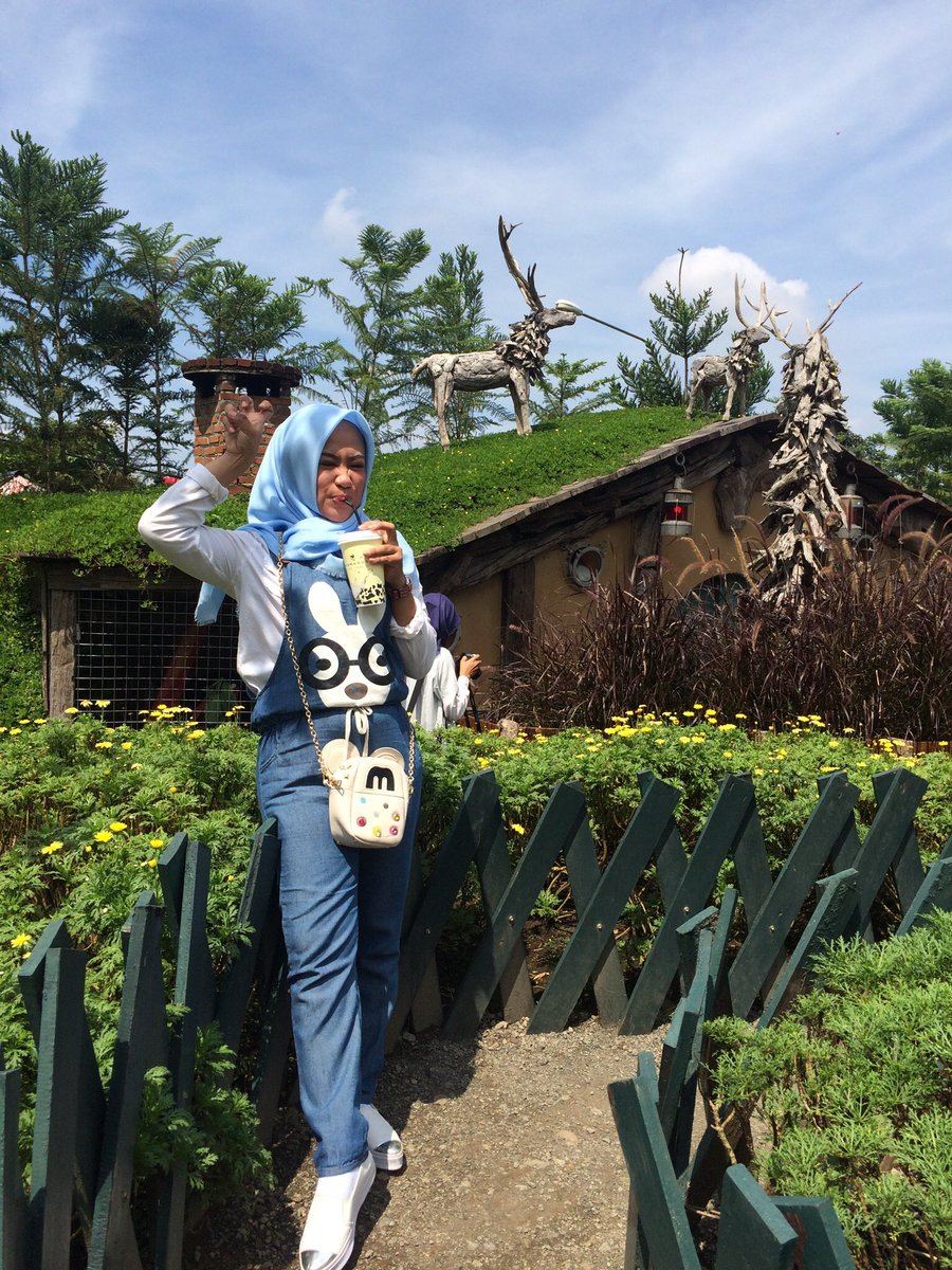 mira natasha ohara tweet media