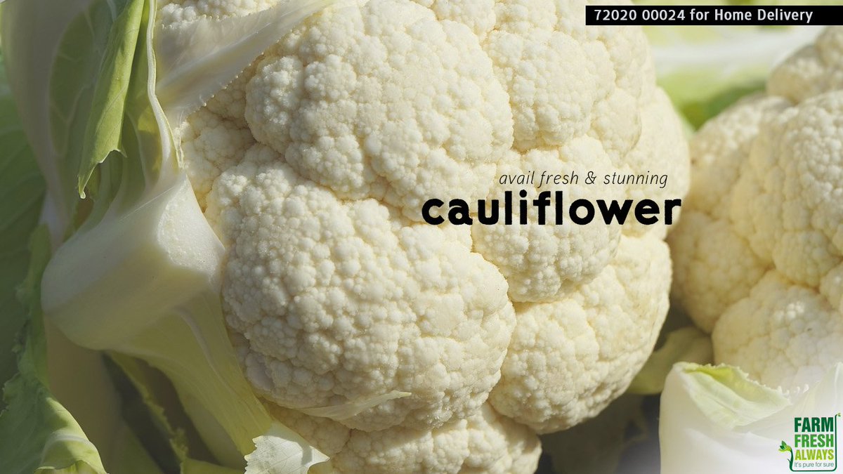 FarmFreshAlways's tweet photo. Avail fresh &amp; stunning cauliflower…!!!
With FarmFreshAlways Home Delivery is FREE*.
(*Free Home Delivery on all orders above Rs. 249) https://t.co/7A1A2QKU5r