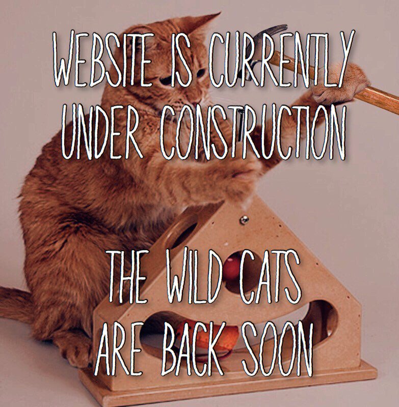 Silvia_Wildcat's tweet photo. Under construction  https://t.co/y3XmqEPqCL https://t.co/JL5cQdwl7T