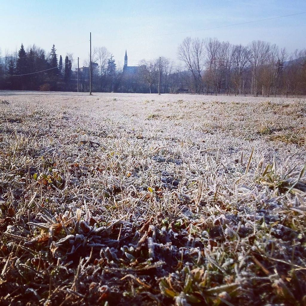FrammentidiTosc's tweet photo. Frozen mornings ❄
#winter #inverno #brina #ghiaccio #landscape #paesaggio #countryside #campagna #freezing #instafr… https://t.co/Khithq6eRc
