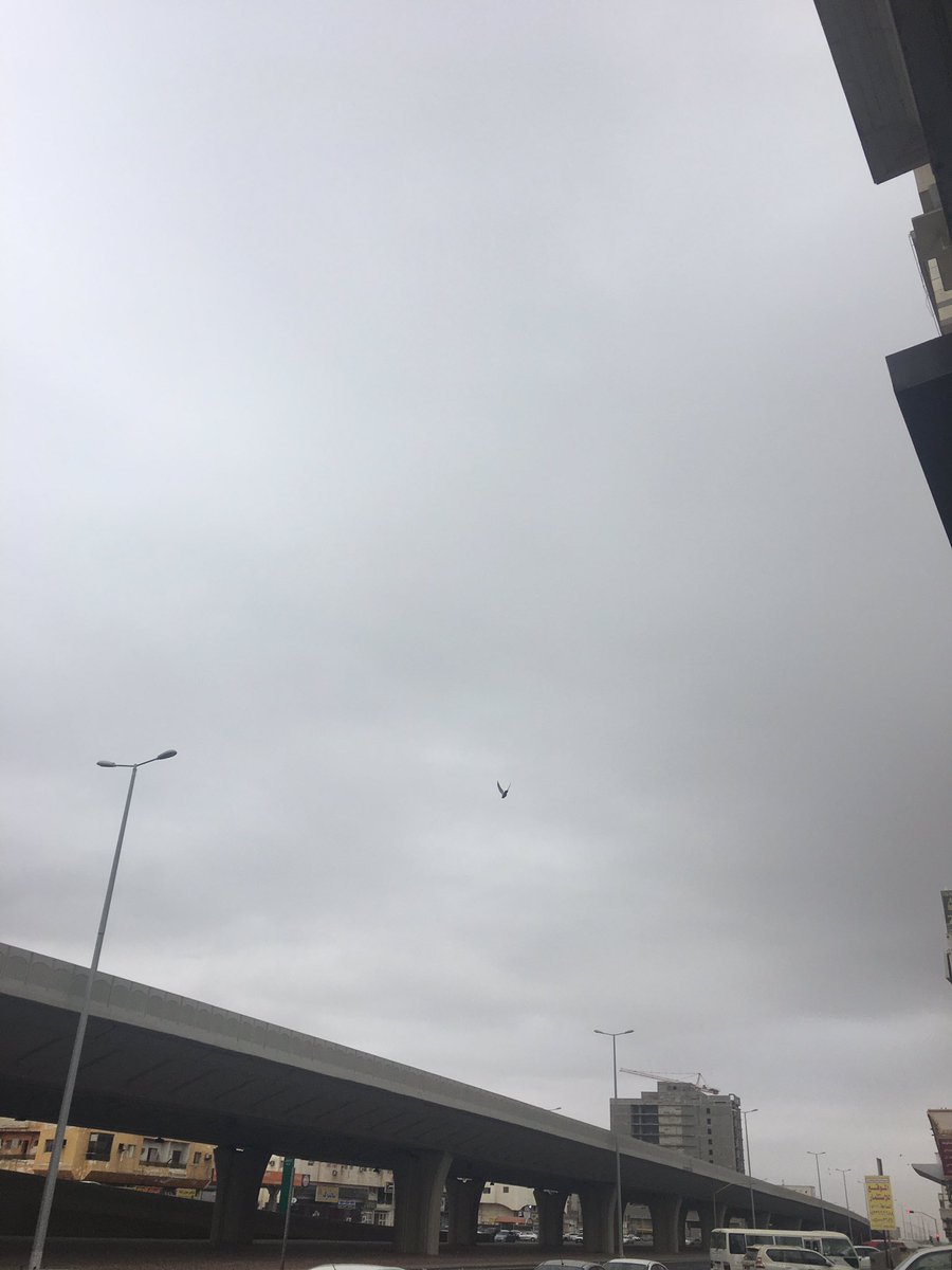 #جده_الان
