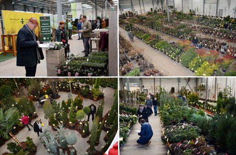 Record aantal bezoekers TreeVention
bpnieuws.nl/artikel/8964/R…