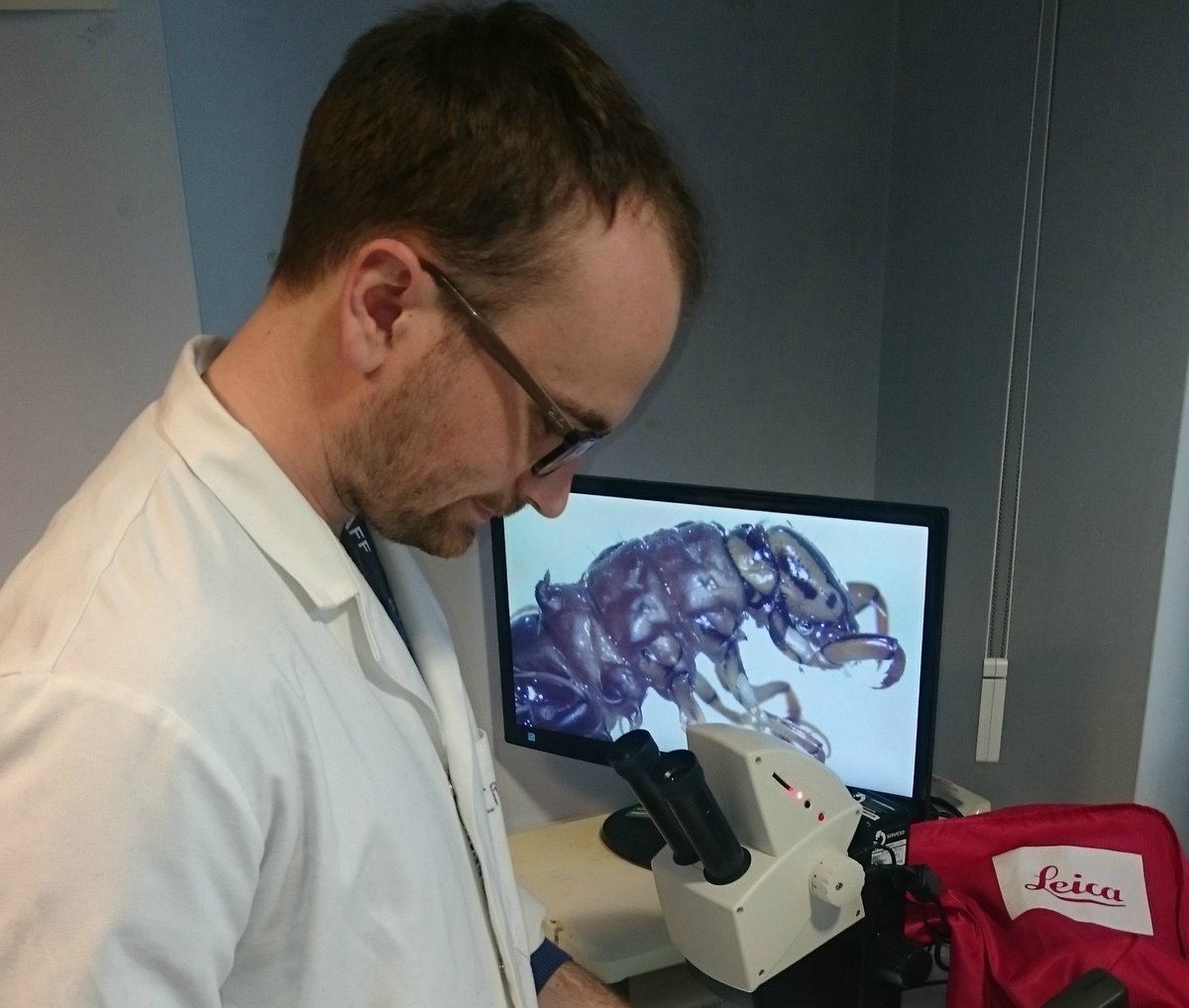 EnvAgencyYNE's tweet photo. We're excited about this caddisfly find in the #Tees during routine sampling. They prefer clean water and help us understand #river health! https://t.co/a0YLar3KrT