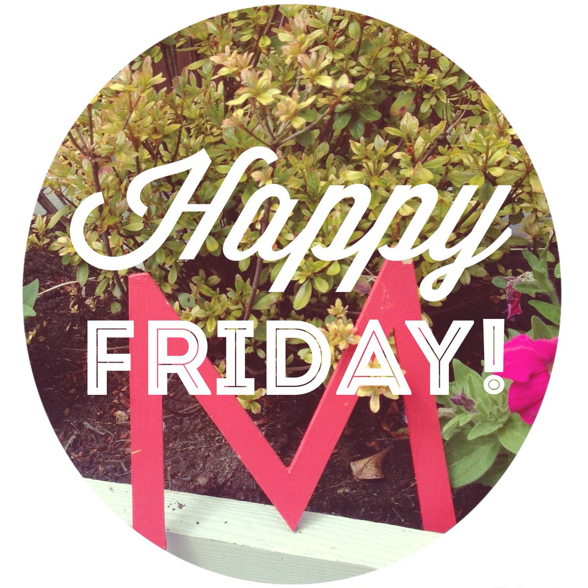 We've got that #FridayFeeling over here in the <a href="/Meenymineymo/">𝚏𝚊⬠</a> studio, who's with us!?