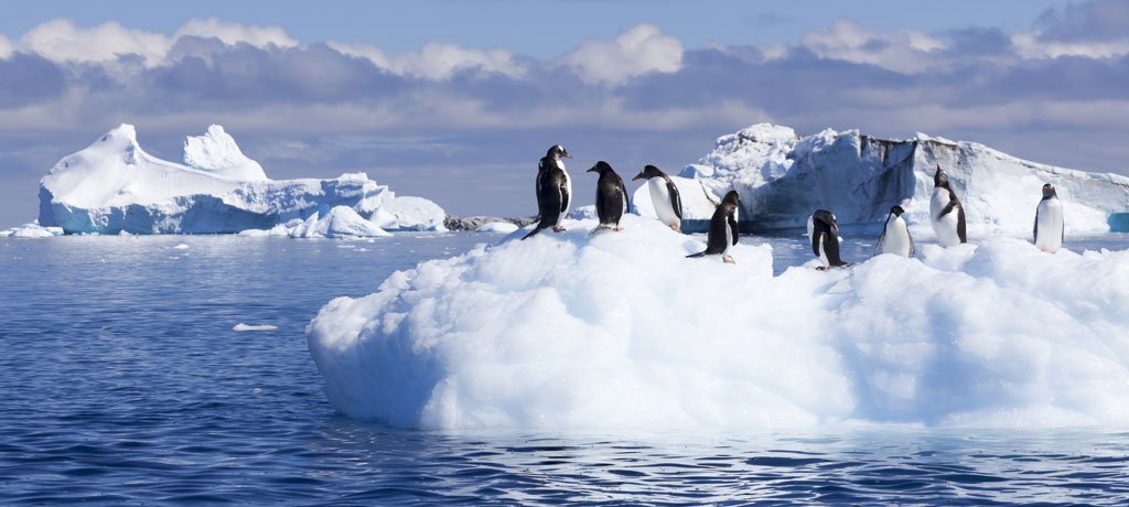 1fusion2science's tweet photo. Ne rater pas Antartica ! #ScienceInfusion
https://t.co/vxi2beLljh https://t.co/UkFnUAyi0Z
