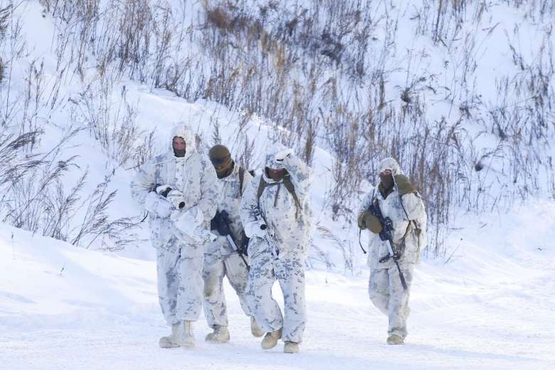 Горнолыжные войска. Морпехи спутник. Зимний камуфляж военный. Морская пехота вов. Морская пехота зимой.