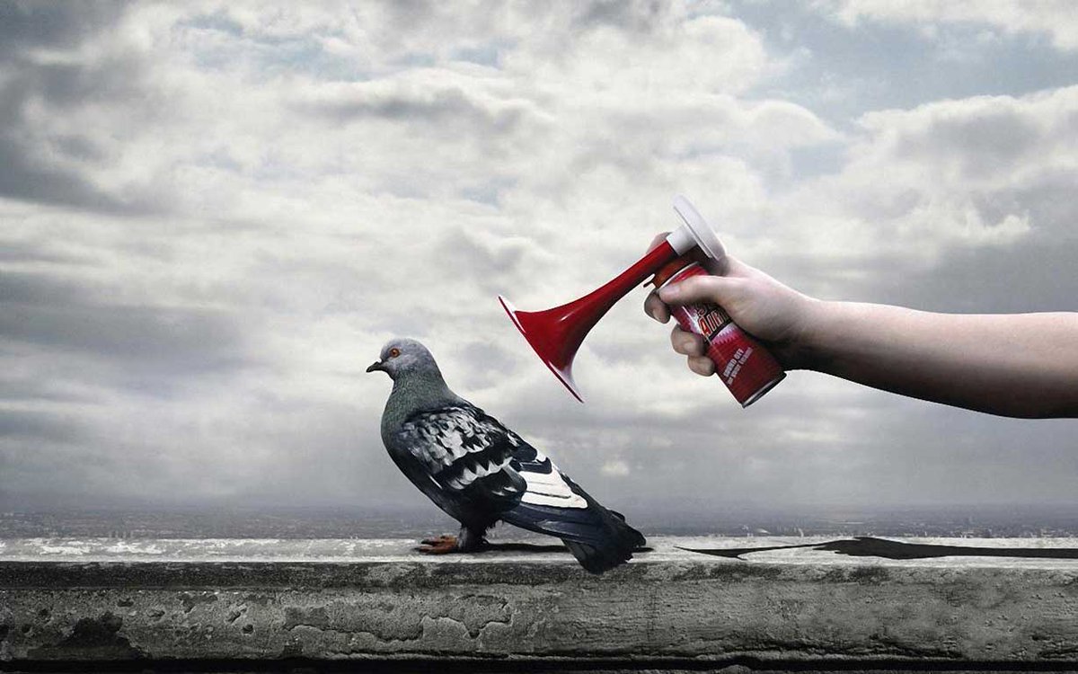 journomate's tweet photo. Global #PR service for your #startup without the agency prices. Choose a package for your budget &amp; we’ll get started https://t.co/Trr4g4rySZ https://t.co/8TyJenmJlX