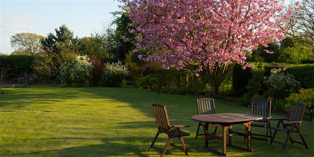 acewaterproof's tweet image. As your garden grows, so does your home's value - says this article by @LifeStyleHOME; ow.ly/hU9A307jSZv #acewaterproofing