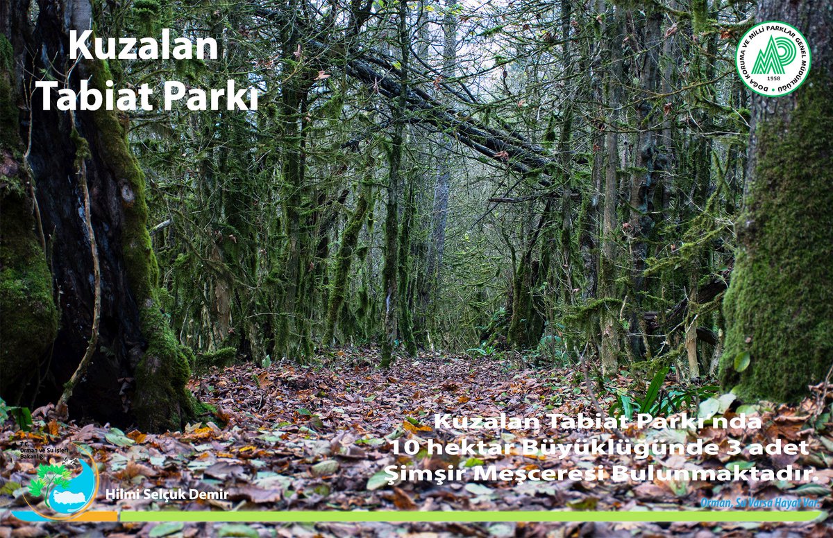 Giresun DKMP (@giresundkmp) on Twitter photo 