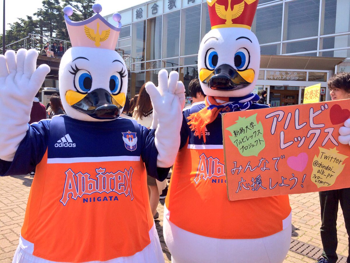 新潟大学アルビレックスプロジェクト 今年も Jマスコット総選挙 が開催 下のハッシュタグをツイートや Urlから投票 Facebookやinstagramでも投票できます 投票でアルビくんを応援しよう T Co Nlarqaoguh アルビくんjマスコット総選挙