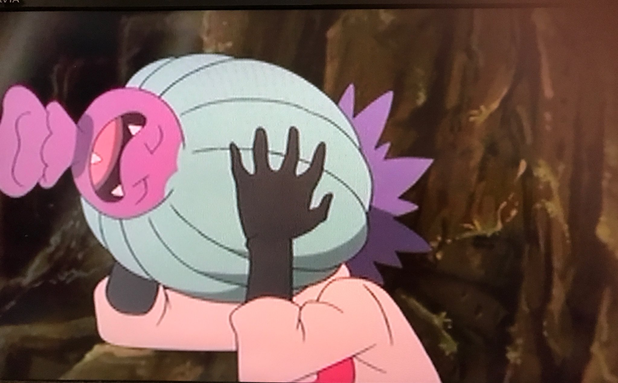 星野あいな コジロウって いつもポケモンに 懐かれてるよねえ 人のよさなんだろうなぁ 悪者だけど あいなもコジロウすき なんだか今回のは 癒されるストーリーだったぜ Anipoke アニポケ ヒドイデ コジロウ T Co Hpj9bvncgg