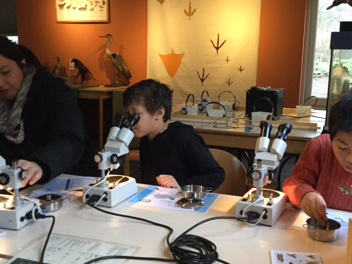 nne_Veen's tweet photo. Start Safari uitvogelen groepen 6 #schiedam https://t.co/huLHSjcJxx vogel experts zijn jullie ook klaar voor de https://t.co/k29mK1bMax ? https://t.co/v5W8AOkWY5