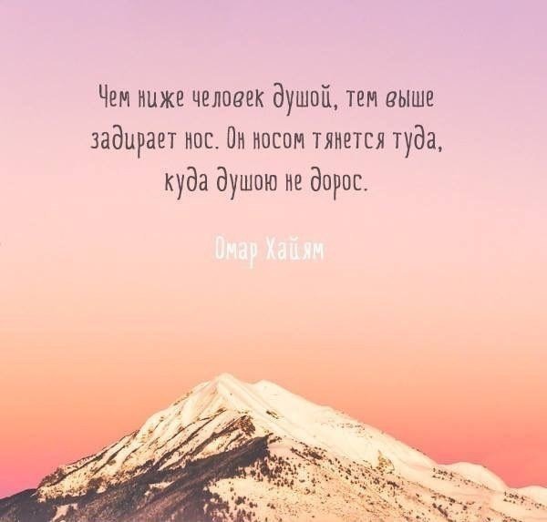 Мудрость веков (@delaisam) on Twitter photo 