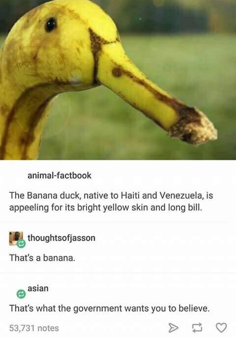 C3KhBWtUcAAnb7w.jpg