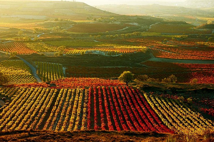 Goanda's tweet photo. Descubre #LaRiojaAlta #LaRIoja Reserva ya con Goanda. https://t.co/0GD0JxLhrN ✈😎 #Goanda #Viajes ✈ https://t.co/UvZBfdlXAd