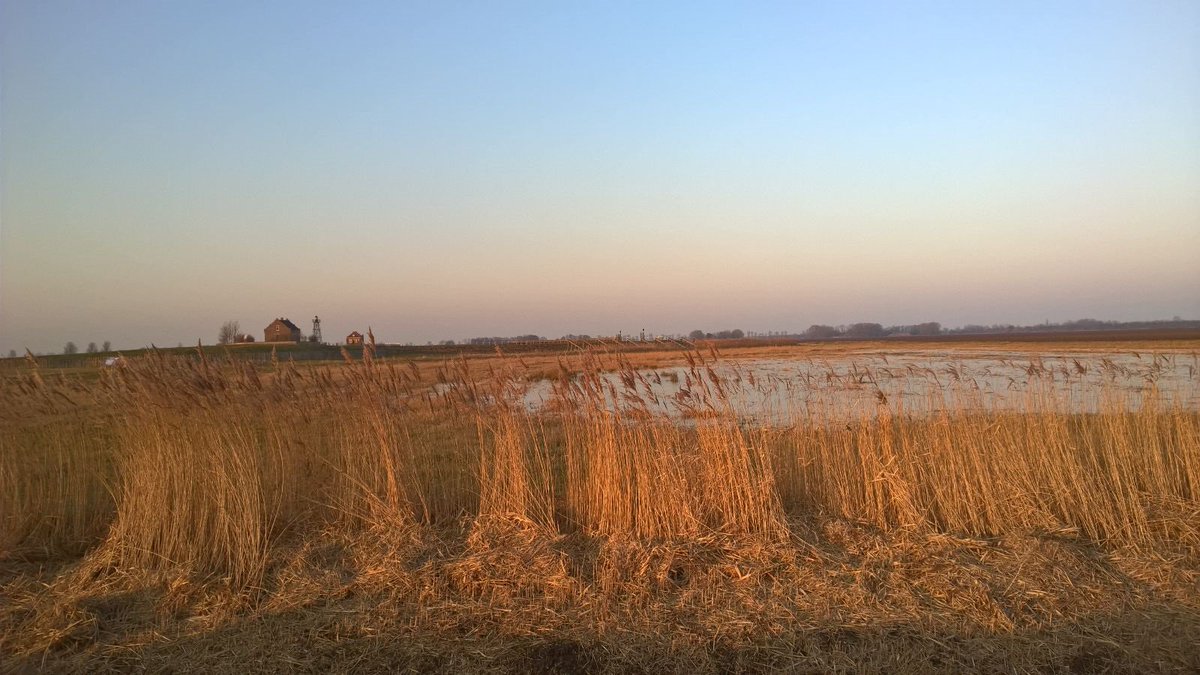_OFGV's tweet photo. Goedemorgen vanaf #Schokland! #omgevingsdienst #OFGV https://t.co/IiMVOrHc2s