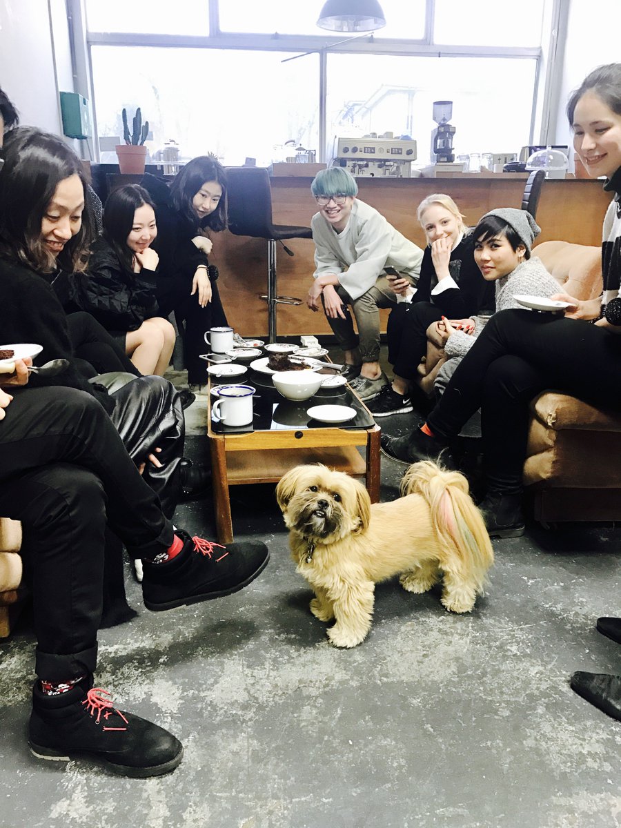 PorridgePud's tweet photo. Happy Birthday @KatyMulheir from @eudonchoi.  Hope you get lots of bones!  @RoseLipman  Xx https://t.co/LczE9siGOu