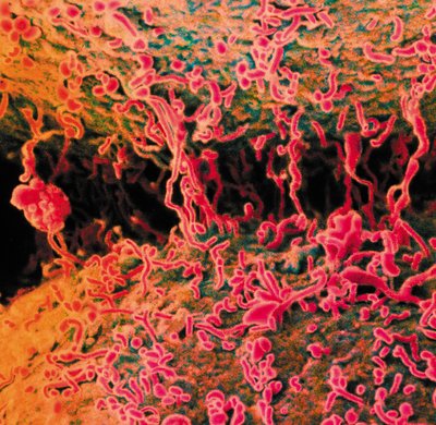 book Four Theories of Responsibility 1990