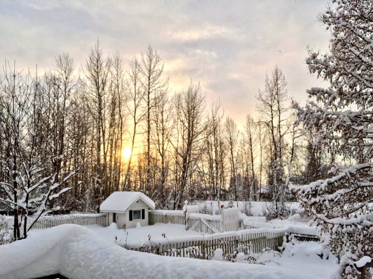 907WRae's tweet photo. Enjoying the view❄️ #Alaska #beauty https://t.co/hV3TnMGSDB