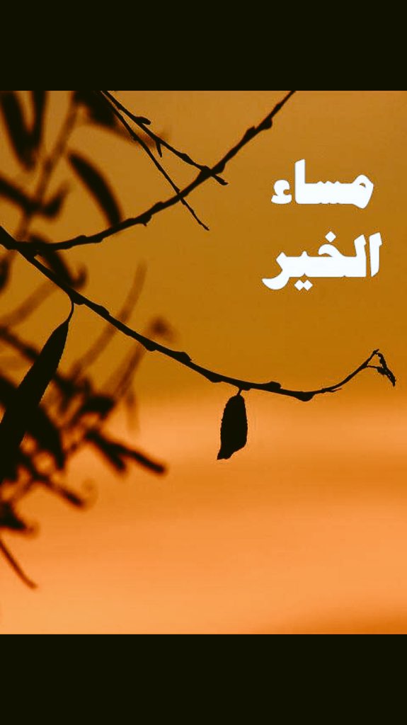 x66802 tweet picture